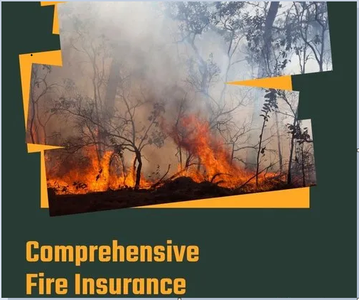 Comprehensive Fire Insurance